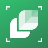 LeafSnap icon