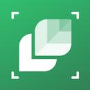 Identifier Plantes: LeafSnap APK