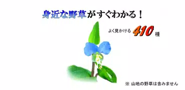 身近な野草がすぐわかる