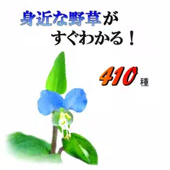 身近な野草がすぐわかる XAPK download