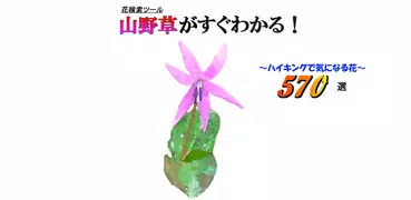 山野草がすぐわかる