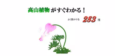 高山植物がすぐわかる