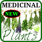 藥用植物的補救措施 圖標