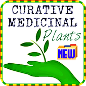 Medicinal healing plants icon