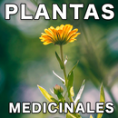 APK Plantas Medicinales y sus usos GRATIS
