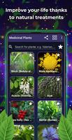 برنامه‌نما Medicinal plants and uses عکس از صفحه