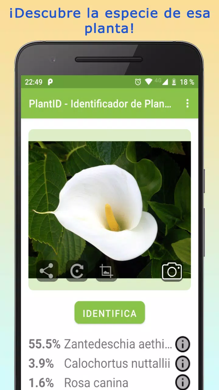 Descarga de APK de PlantID para Android