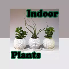 download Indoor Plants APK