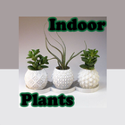 Indoor Plants icône
