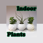 Indoor Plants icon