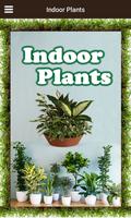 Indoor Plants poster