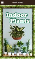 Indoor Plants Plakat