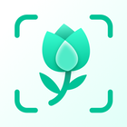 Plant Identifier آئیکن
