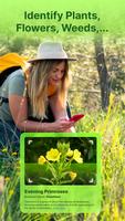 Plant Identifier پوسٹر
