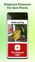 Plant Identifier اسکرین شاٹ 1
