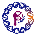 PLASMID BIOLOGY