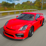 Cayman Simulator : Speed Road