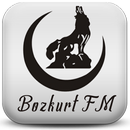 Bozkurt FM APK