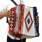 Learn to play the accordion أيقونة