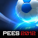 Play PEES 2012 icône