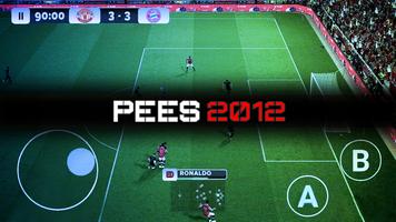 Play PEES 2012 Affiche