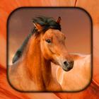Paard Live Achtergronden-icoon