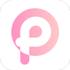 PP浏览器 icon