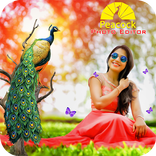 Peacock Photo Editor : Photo Frame