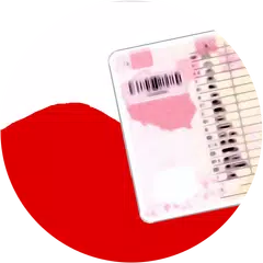 Driving Licence - Poland XAPK download