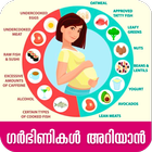 Pregnancy Care Tips- Malayalam icône