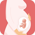 متتبع الحمل - حاسبة