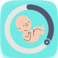 pregnancy week calculator