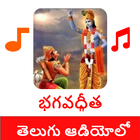 Bhagavad Gita in Telugu Audio icono
