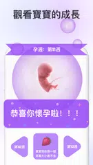 Premom-備孕神器&排卵期計算器 XAPK 下載