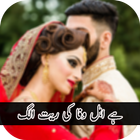 Hai Ahl e Wafa Ki Reet Alag novel 圖標