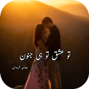 Tu Ishq Tu Junoon  Novel APK