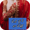 Tuhai jenay ki wajah  Novel APK