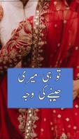 Tuhai jenay ki wajah  Novel 海報