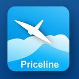 priceline flight