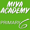 miya academy primary 6