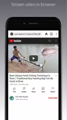 Privacy Browser with VPN XAPK download