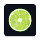 LIME Detailing Center icon