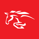 АЗК ФОРСАЖ APK
