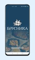 Брусника poster