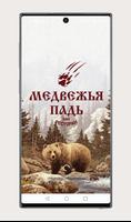 Медвежья Падь poster