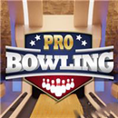 Pro Bowling 3D APK