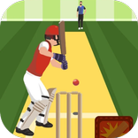 Pro Cricket Champion