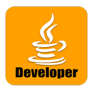 Java Developer APK