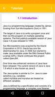 Java Developer 스크린샷 3