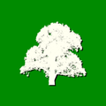 Figueira Branca